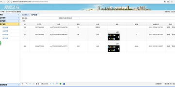 深圳市南山區,長期網站制作與開發,1v1教學與幫助與學習 仔仔