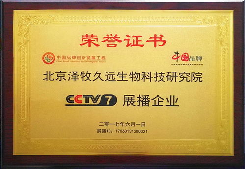 育肥羊飼料報價、廠家推薦與技術轉讓全解析